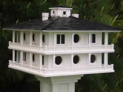 Casa própria para passarinho Photobucket