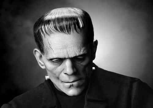 Top 20 retratos inusitados Photobucket
