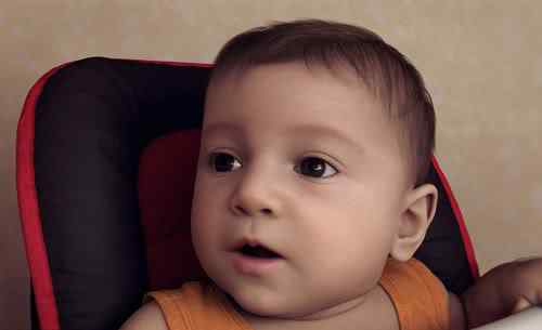 Top 20 retratos inusitados Photobucket