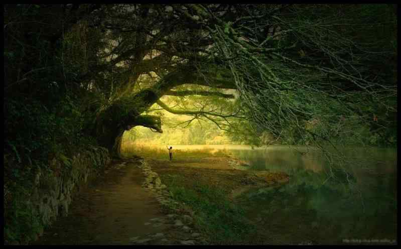 170 Matte Paintings de babar Photobucket
