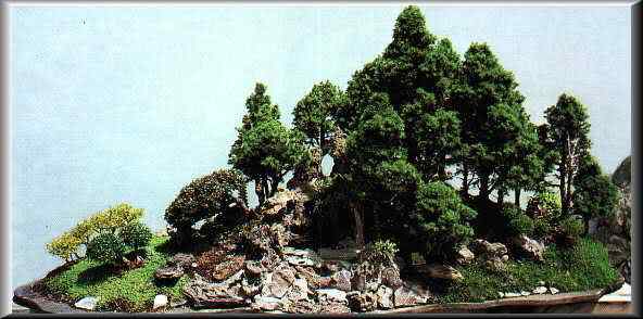 Bonsai: A arte de criar árvores em miniatura Photobucket