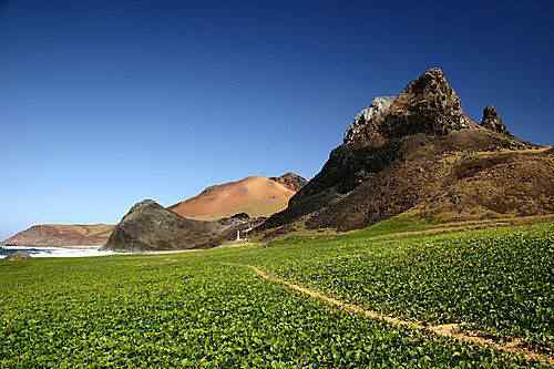 ilhadatrindade-756426 ilhadatrindade 756426 | Dicas | dicas, incrível, turismo