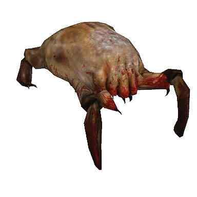 Headcrab Headcrab | Arte | bizarro, concept art, criaturas, curioso, design, efeitos especiais, estranho, ilustração, monstro
