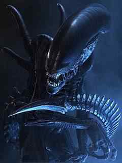 Xenomorph_1 Xenomorph 1 | Arte | bizarro, concept art, criaturas, curioso, design, efeitos especiais, estranho, ilustração, monstro