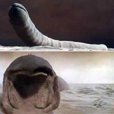dune-sand-worms_l dune sand worms l | Arte | bizarro, concept art, criaturas, curioso, design, efeitos especiais, estranho, ilustração, monstro