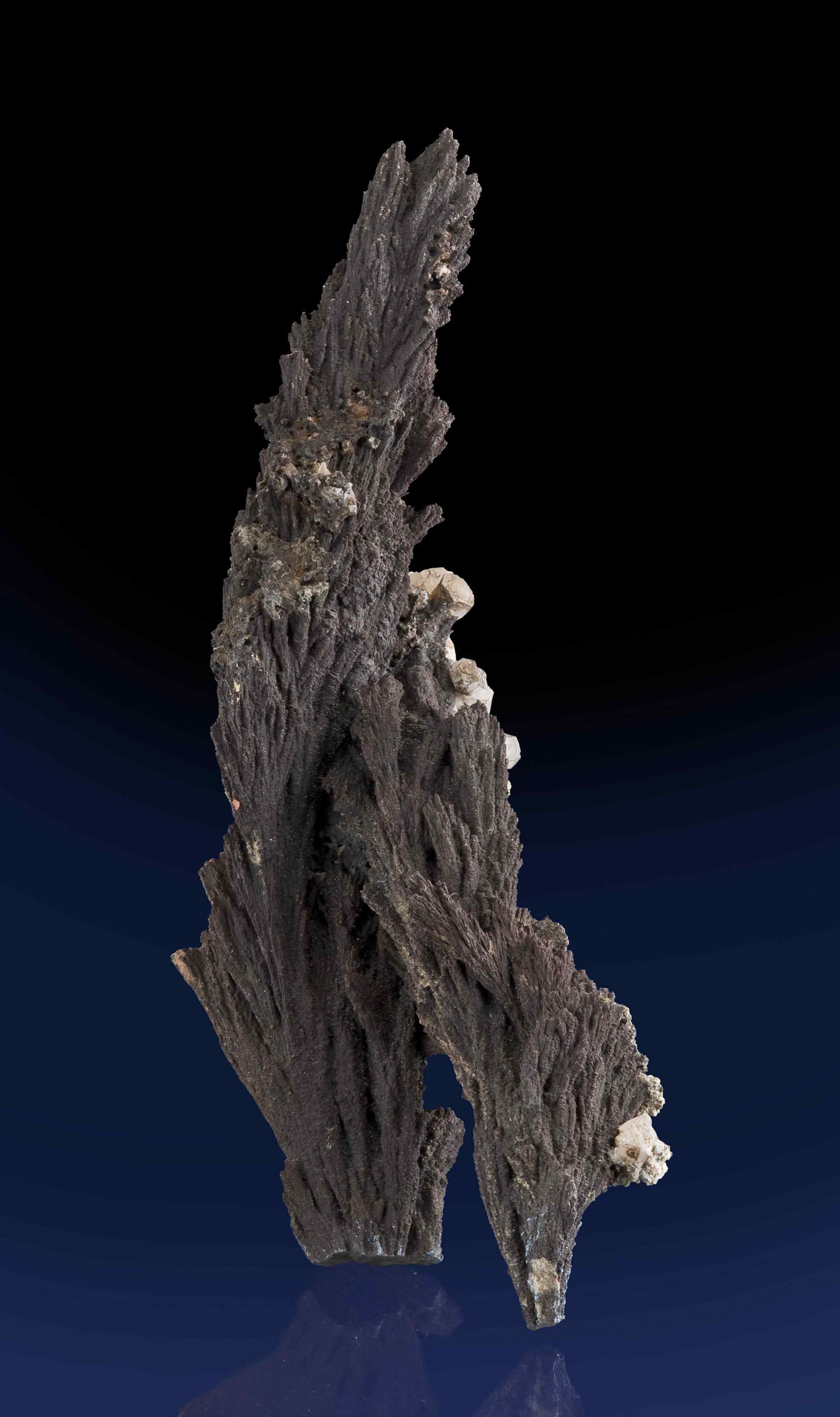 Alabandite-BrokenHill-Australia-135mm-JB197-08 Alabandite BrokenHill Australia 135mm JB197 08 | Curiosidades | curioso, incrível, pedra