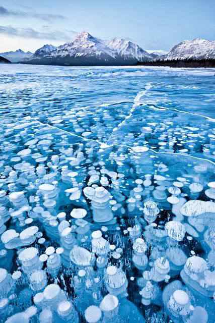 large_canadian_frozen_bubbles large canadian frozen bubbles | Curiosidades | canadá, curioso, gelo, incrível