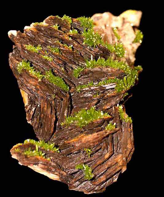 large_mossy_bark large mossy bark | Curiosidades | curioso, incrível, pedra