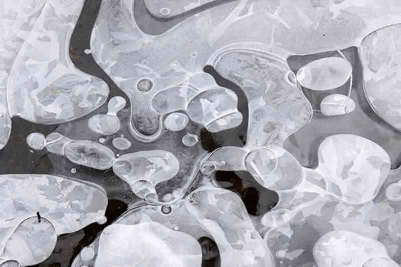 large_mystery_lake_frozen_bubbles large mystery lake frozen bubbles | Curiosidades | canadá, curioso, gelo, incrível