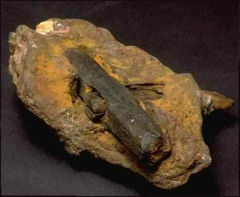 Pegadas misteriosas de gigantes Pegadas misteriosas de gigantes