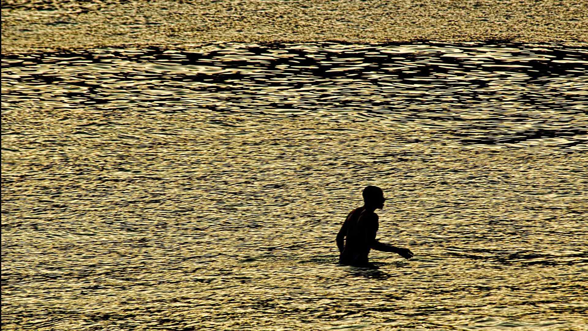 Dez fotografias que eu fiz e gosto golden diver1 | Fotografia | dicas, fotografia