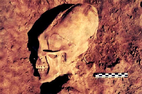 Crânios bizarros - Encontrado o crânio do pé grande? Alien-Skulls