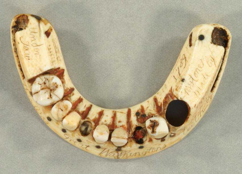 15 bizarrices envolvendo dentes DentureTop