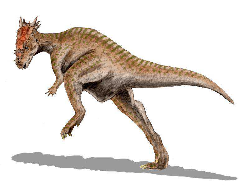 Fóssil de Dragão? Não, é um dinossauro! Dracorex_BW