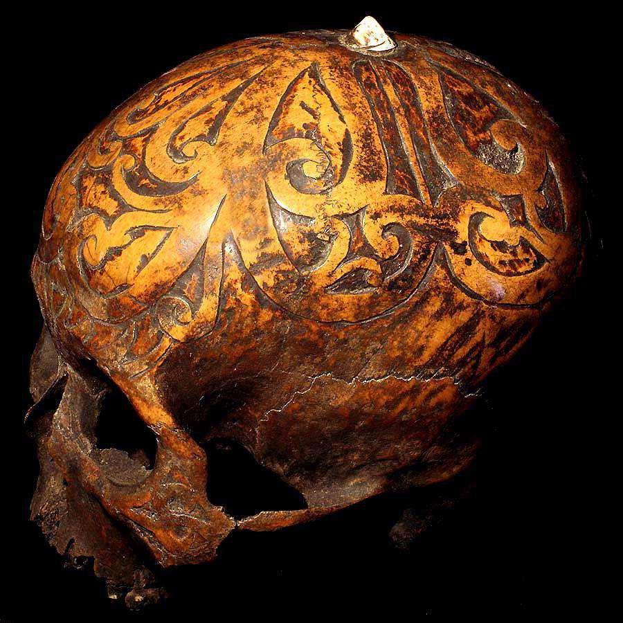 Crânios bizarros - Encontrado o crânio do pé grande? SKULLS1LARGE
