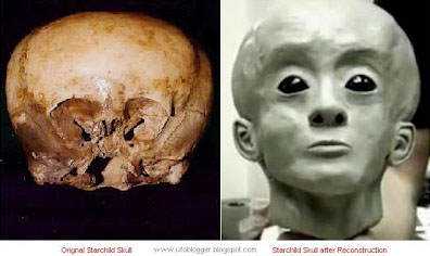 Crânios bizarros - Encontrado o crânio do pé grande? Starchild-Skull (1)