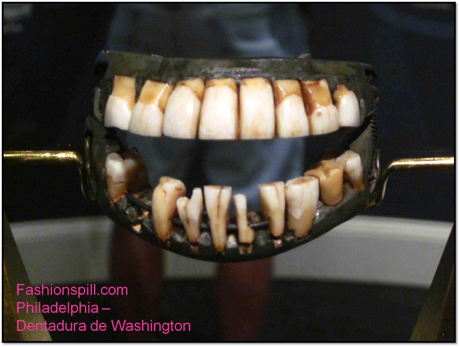 15 bizarrices envolvendo dentes philadelphia-dentadura-de-washington