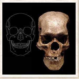 Crânios bizarros - Encontrado o crânio do pé grande? strange-skull-giant