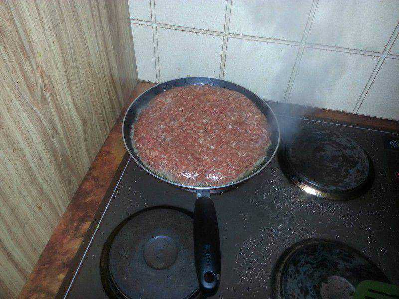 Pizza-burguer? 8499446c44e50ba8547890ebbca53e04 (1)
