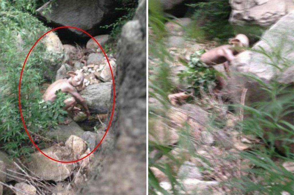 Turista flagra um ser misterioso Monster-Gollum-spotted