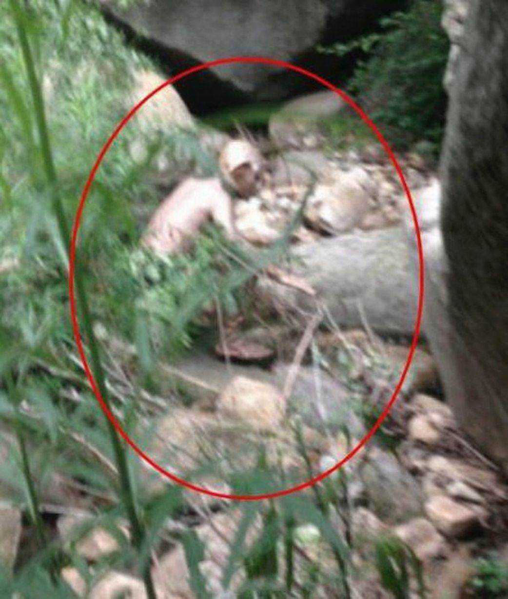 Turista flagra um ser misterioso The-monster (1)
