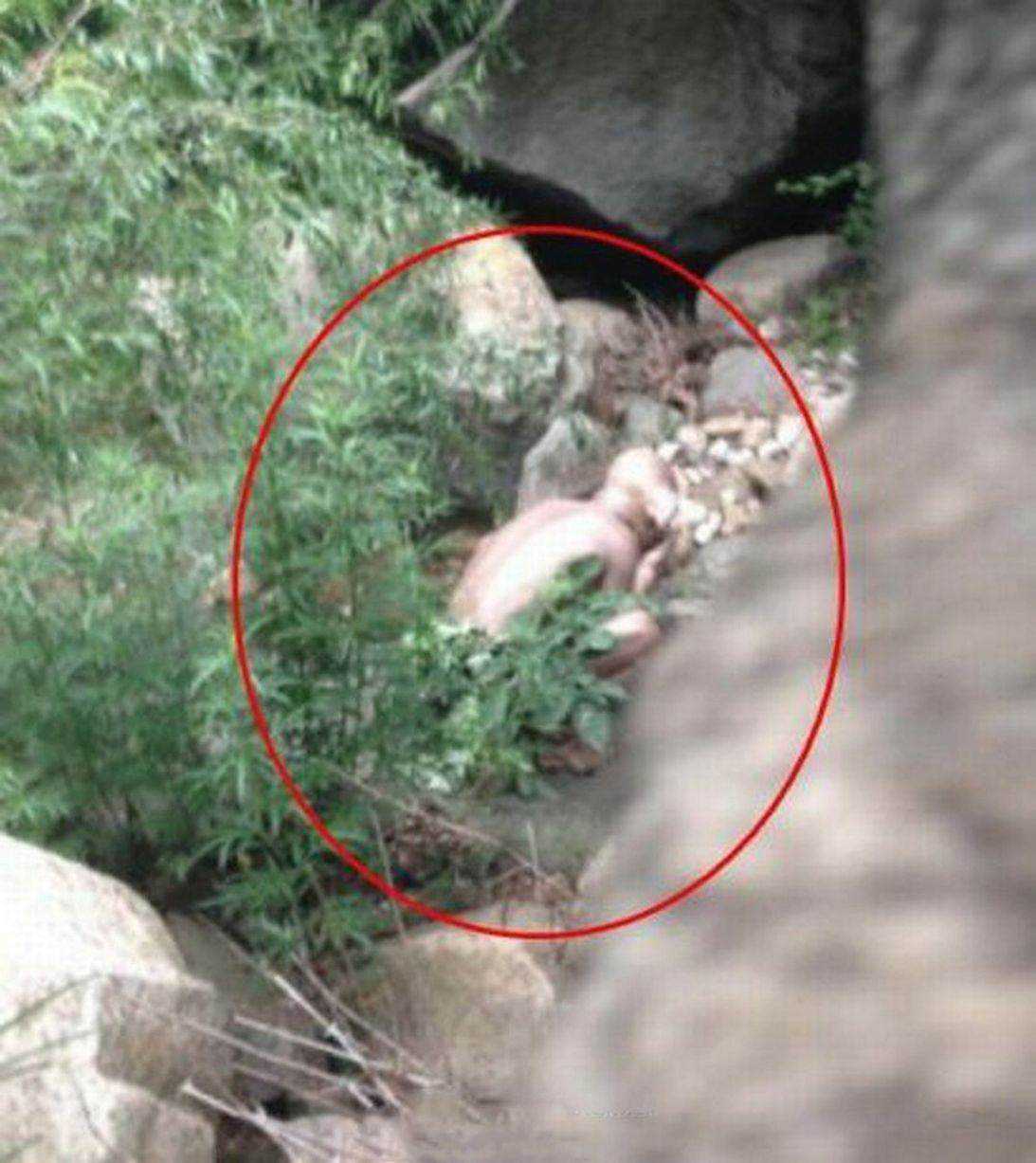 Turista flagra um ser misterioso The-monster