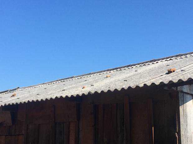 Casa mal assombrada é demolida no RS após falharem tentativas de exorcismo casa3