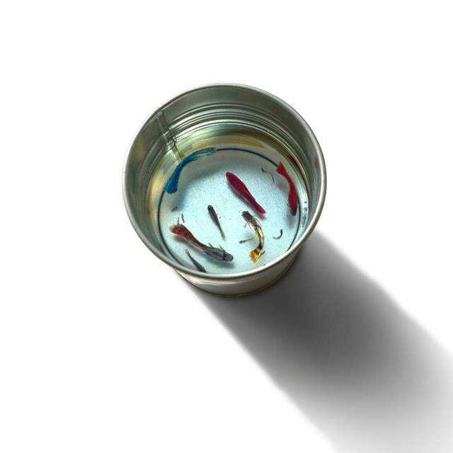 O polvo fake de Keng Lee e outras pinturas Incredible-Photorealistic-3D-painting-by-Keng-Lee-11