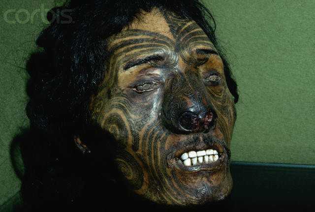 O colecionador de cabeças Preserved Head of Maori Chief