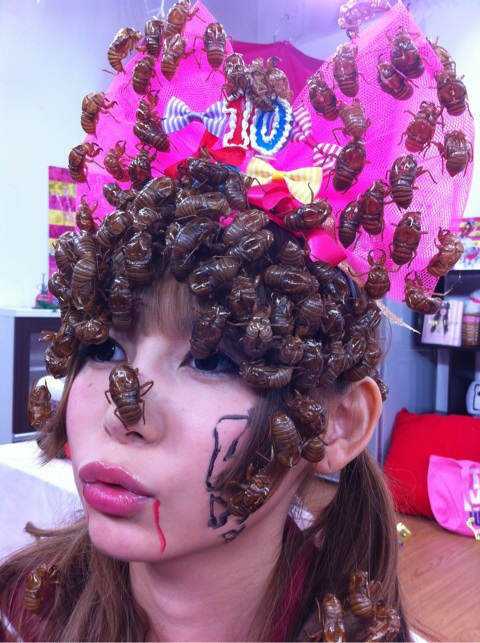 Bizarrices do Japão Bizarrices do japão