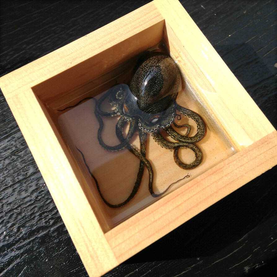 O polvo fake de Keng Lee e outras pinturas what_is_it_like_to_be_an_octopus__by_kenglye-d6mv3yg