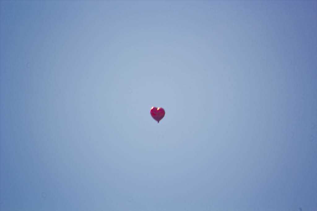 Fotos do fim de semana loves in the air_low