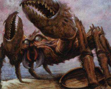 Caranguejo gigante aparece em foto aérea: Será o Kraken?? Giant Crab