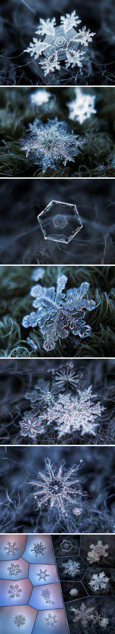 Flocos de neve incríveis 7289cd8eed6ea0b5ca46ec0ec65ec63c