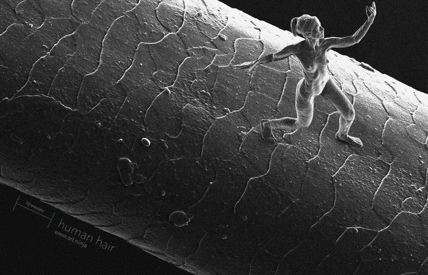 Impressão 3d: Artista cria esculturas com a dimensão de um espermatozóide! WRxsRwH
