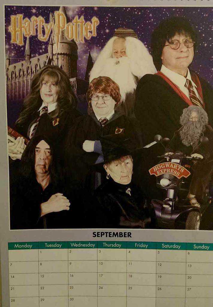 Veja o calendário 2015 desse asilo 5zogk-09-September