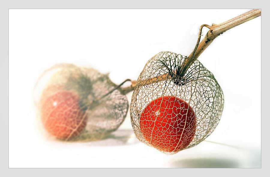 Frutas esquisitas 43625