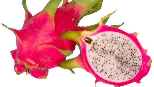 Frutas esquisitas Pitaya