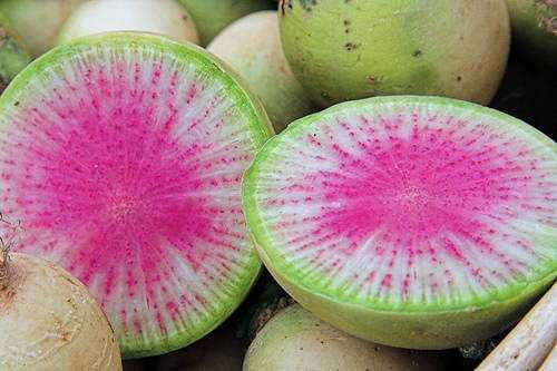Frutas esquisitas Melão Radish