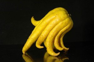 Frutas esquisitas Mão do Buda (sério que é esse o nome?)