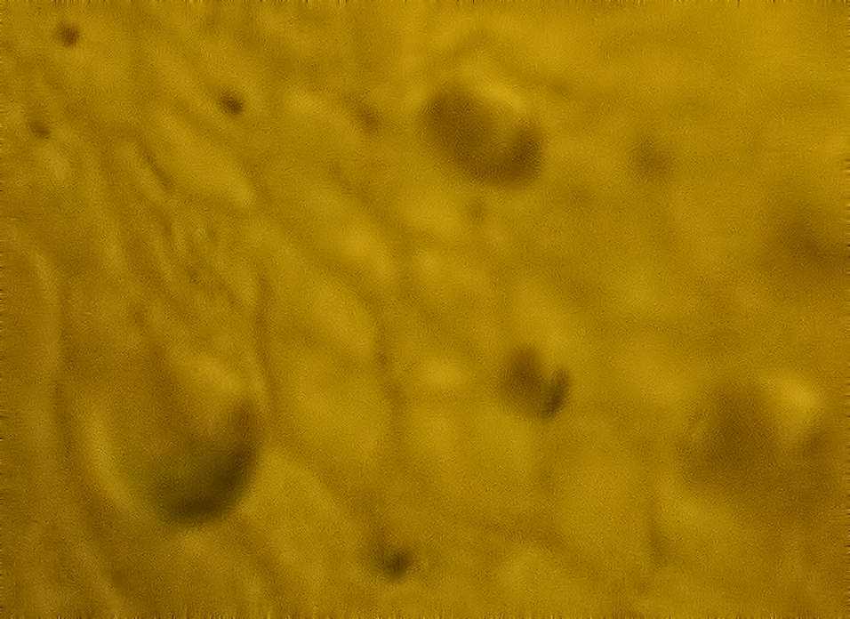 O que é isso que eu fotografei? TANG11