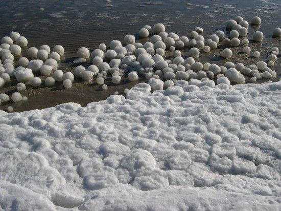 Foto Gump do dia: As misteriosas bolas de neve no lago Michigan ice_balls_michigan_Funzug.org_04-732592