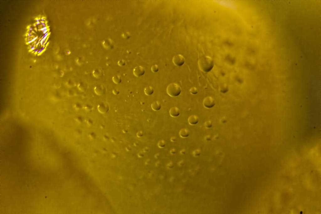 O que é isso que eu fotografei? tang07