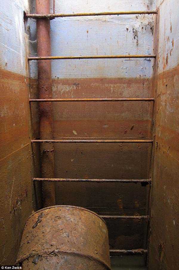 Família resolve entrar na passagem misteriosa do quintal pela primeira vez e... 36e0f22351da2b024cb5f7f4abd10a34