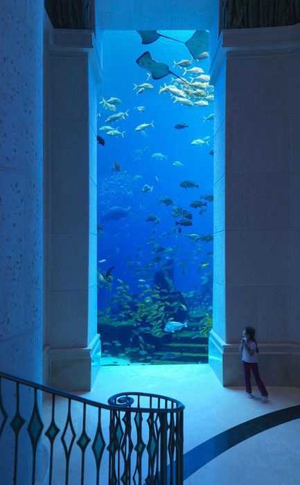 Olha que maneiraço: Um hotel submarino em Dubai 84d34e32f6be2fa9e1620c951f998b5a