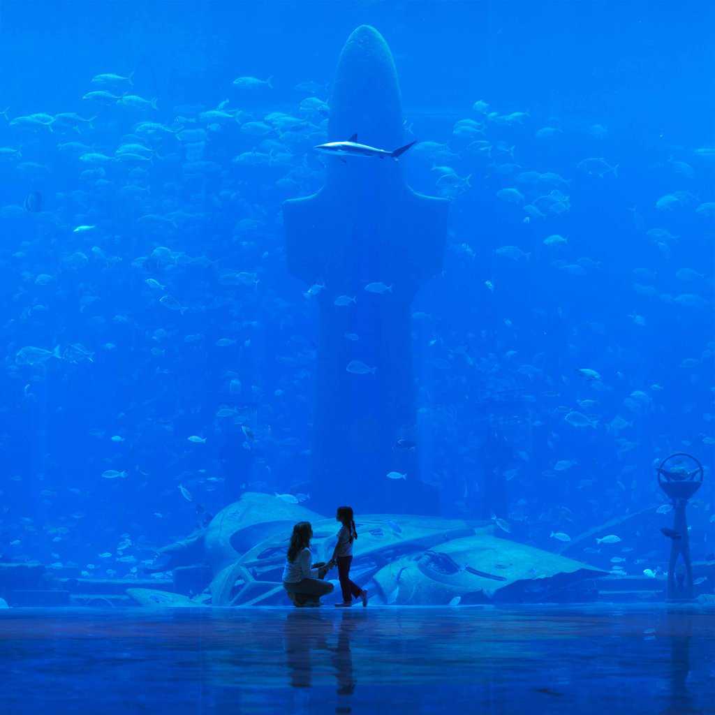 Olha que maneiraço: Um hotel submarino em Dubai Picture 067