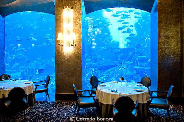 Olha que maneiraço: Um hotel submarino em Dubai Ossiano Restaurant; Atlantis; The Palm; Dubai; United Arab Emirates, Chef, Santi Santamaria,