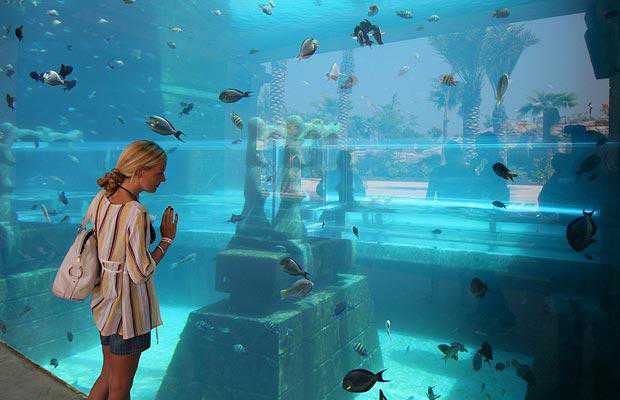 Olha que maneiraço: Um hotel submarino em Dubai aquarium-woman_998074i