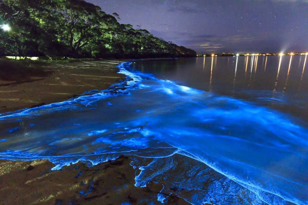 Foto Gump do dia: Mar de estrelas aubARf3