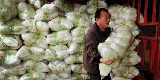 Do camarão com gelatina ao leite com tinta - 10 escândalos alimentares na China cabbage